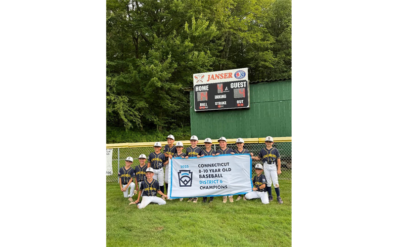 2025 10U District 6 Champions